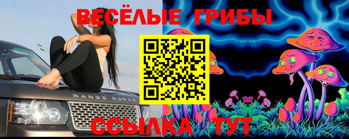 Псилоцибиновые грибы Magic Shrooms  наркота  Тутаев  Галлюциногенные грибы Cubensis  Вход с VPN 